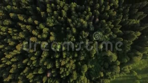 飞越绿色森林和靠近公路的村庄俄罗斯视频的预览图