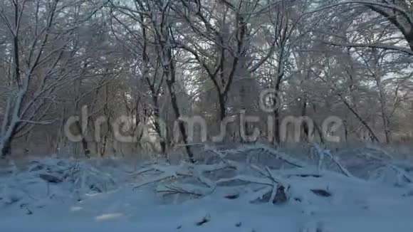 空中拍摄阳光透过覆盖着雪的树木照进照相机视频的预览图