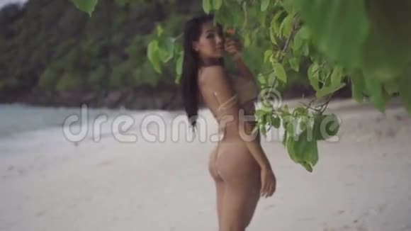 海滩上女孩闻着树上的花缓慢地看着镜头的视频视频的预览图