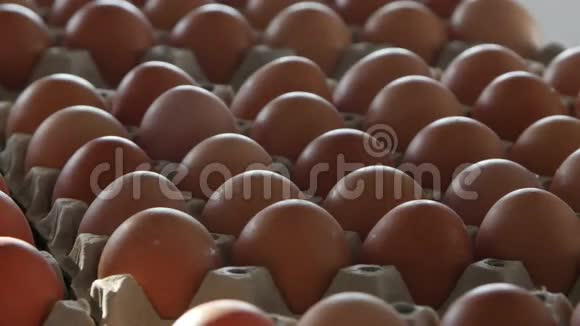家禽养殖场的新鲜鸡蛋视频的预览图