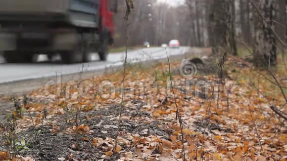 乡村高速公路卡车穿过秋天的森林视频的预览图