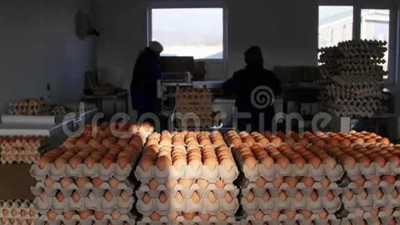 家禽养殖场的新鲜鸡蛋视频的预览图