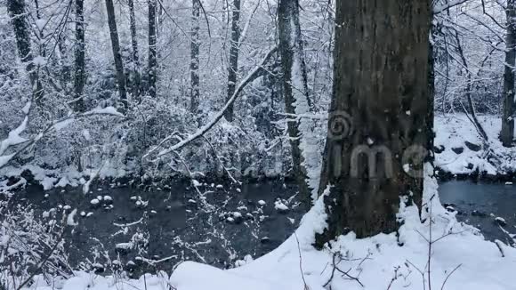 在降雪时穿过森林的河流视频的预览图