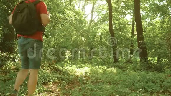 爸爸和女儿孩子们夏天在公园里旅行一家人在森林里度假旅行朋友游客去野营视频的预览图