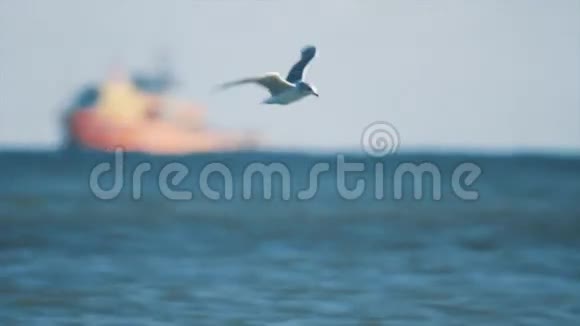 海鸥鸟在船只和油台前飞过海面视频的预览图