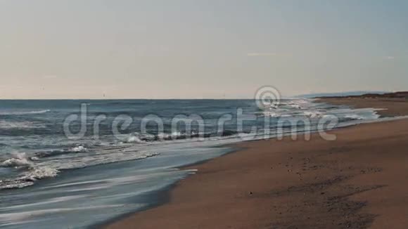 海水的沙质海岸海浪白沫海鸥飞过视频的预览图