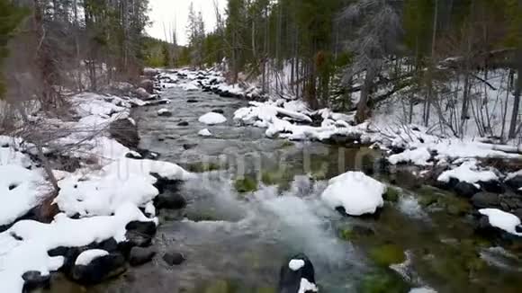 狭窄的河流在冬天穿过一片高大的树林视频的预览图