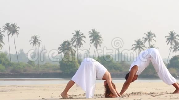 女人和男人做瑜伽视频的预览图
