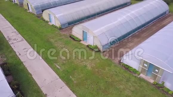莴苣生产领域和温室的空中农业景观剪辑温室的俯视图视频的预览图