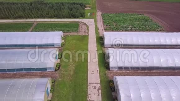 莴苣生产领域和温室的空中农业景观剪辑温室的俯视图视频的预览图