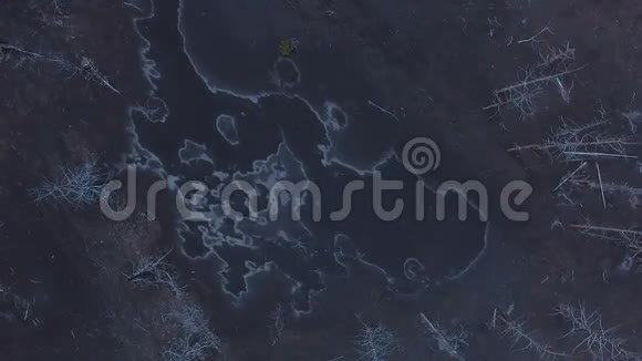 在冻原里飞过燃烧的木头视频的预览图