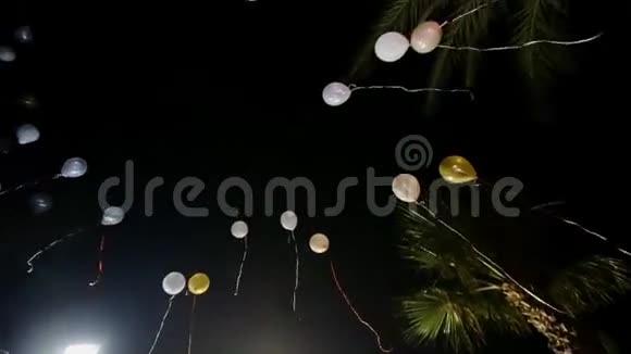 气球升上夜空视频的预览图