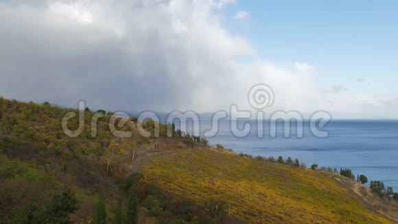 俯瞰大海的秋天葡萄园视频的预览图