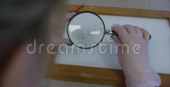 实验室里的科学家用百叶窗看着女化验员用中号试管检查视频的预览图