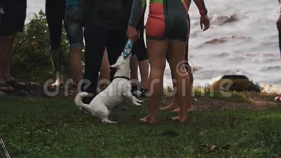 小白狗咬塑料瓶盖和穿泳装的女孩玩耍视频的预览图