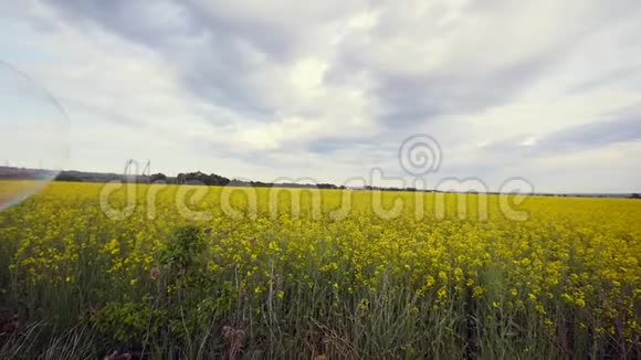金色的田野里的气泡和蓝色的阴天视频的预览图