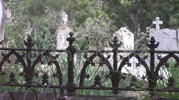 古老的有栅栏的坟墓后面有草和墓碑视频的预览图