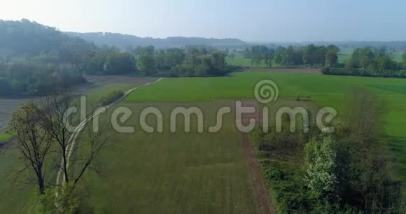 在夏日的绿色田野和砾石小径上前进欧洲意大利户外绿色自然景观视频的预览图