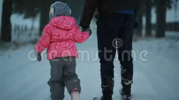 冬天的晚上爸爸和他的小女儿手拉手在公园里散步视频的预览图
