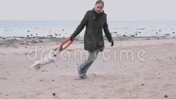 女人在海边玩狗视频的预览图
