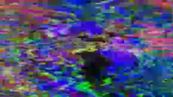 多色动态网络朋克优雅的彩虹背景数字故障混合视频的预览图