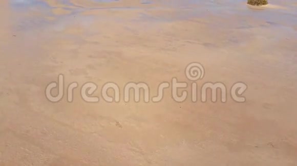 飞越加那利岛的福尔特文图拉科斯塔卡尔马海滩视频的预览图