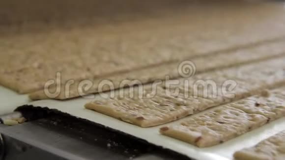 自动成型后的面团饼干在传送带上运行视频的预览图