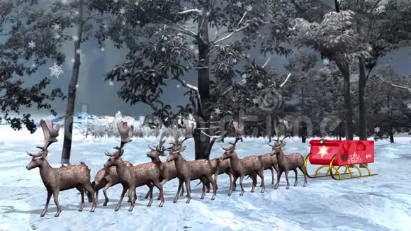 圣诞老人雪橇在等驯鹿视频的预览图
