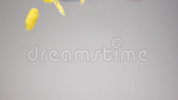 玉米片落在白色背景上视频的预览图