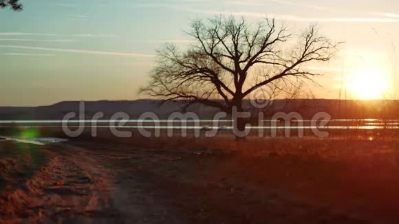 剪影人在日落时沿着道路奔跑独自站在树上剪影在大自然中奔跑的运动青年视频的预览图
