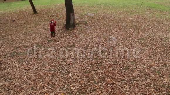 女孩玩秋天的落叶视频的预览图