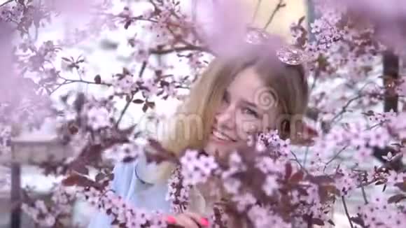 美丽的金发女孩在开满粉红色花朵的树枝上摆姿势的肖像春季视频的预览图
