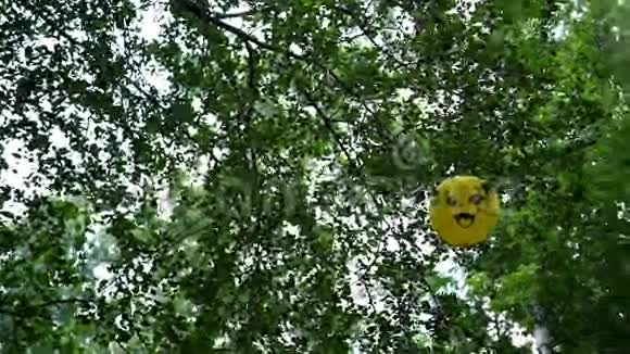 一个气球粘在树枝上视频的预览图