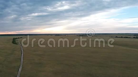 日落时用小麦在田间的鸟瞰道路视频的预览图