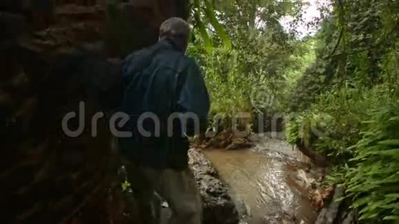 在热带森林中沿着小径徒步旅行视频的预览图