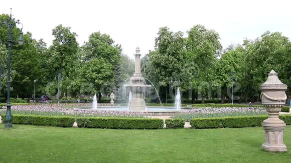 公园里有喷泉埃格视频的预览图
