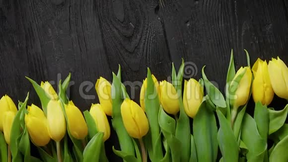 美丽的黄色郁金香在黑色的乡村木制背景顶部视图视频的预览图