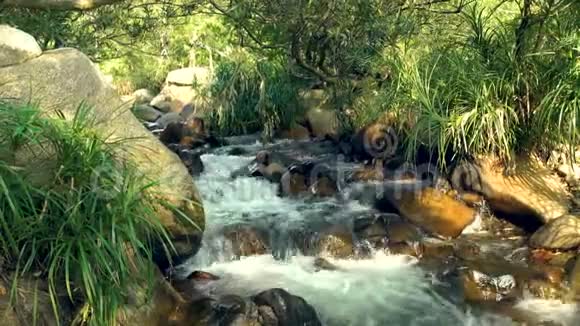 山地热带森林岩石河快速流动的水流关闭湍急的河流和河流视频的预览图