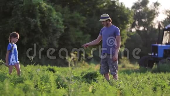 有孩子的农民在生态农场收获有机胡萝卜作物视频的预览图