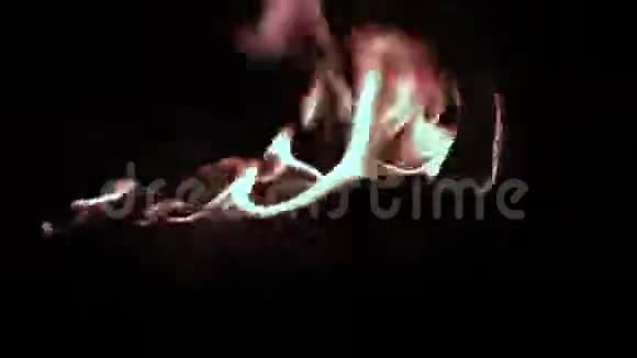 原木燃烧得很快燃烧的树林燃烧日志和红色火焰靠近篝火燃烧视频的预览图