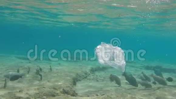 垃圾漂浮在海里的珊瑚礁上视频的预览图