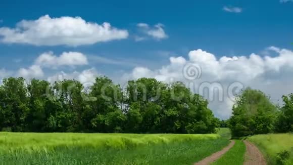 地面道路在麦田和美丽的多云春天的风景视频的预览图