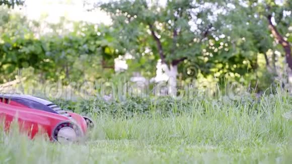 年轻女子用割草机在自家院子里割草4K视频的预览图