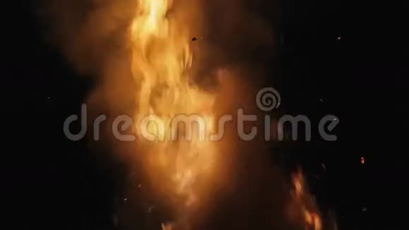在森林里开火烈焰带烟视频的预览图