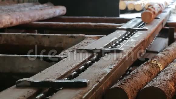 锯木厂圆材原木的准备分拣加工视频的预览图