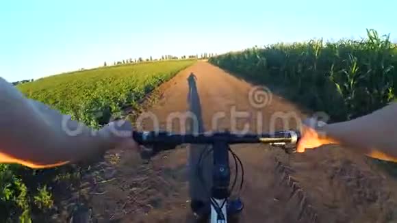 日落日出时一个女孩骑自行车在夏天的田野上视频的预览图