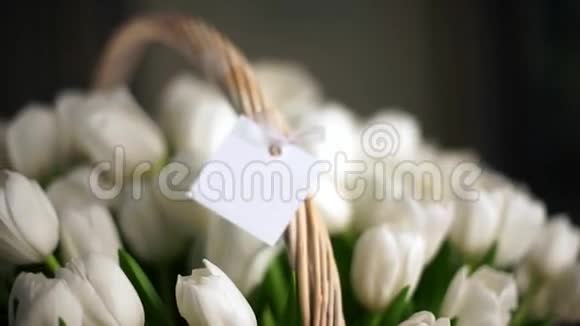 白色郁金香花束在篮子特写复活节贺卡视频的预览图
