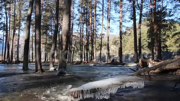 冰封河切马尔河阿尔泰河水流湍急视频的预览图
