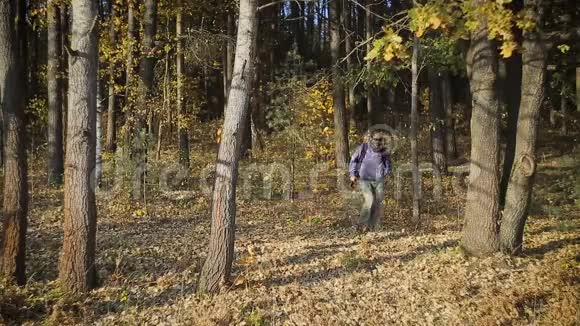 背着背包穿过树林的男游客视频的预览图