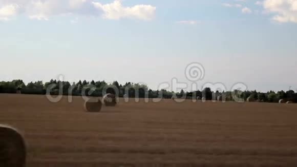 干草堆的田野视频的预览图